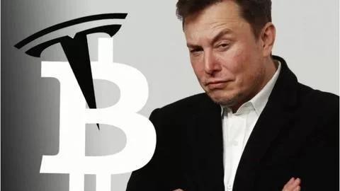 马斯克再次发推，比特币瞬间上上扬ARB%！的简单介绍